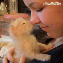 Kissing The Pet Collective GIF - Kissing The Pet Collective Touchy GIFs