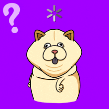Confused Chow Chow Perplexed Pup GIF