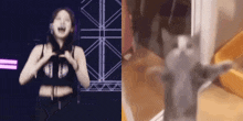 a blurred image of a woman dancing next to a blurred image of a man