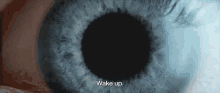 Wake Up Pupils GIF - Wake Up Pupils Eye GIFs