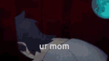 Ur Mom Haruka Sakurai GIF - Ur Mom Haruka Sakurai Milgram GIFs