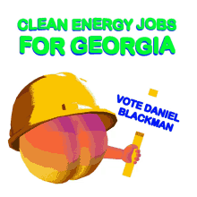 georgias future is a clean energy future clean energy future clean energy vote for the future vote