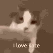 I Love Kate GIF - I Love Kate GIFs