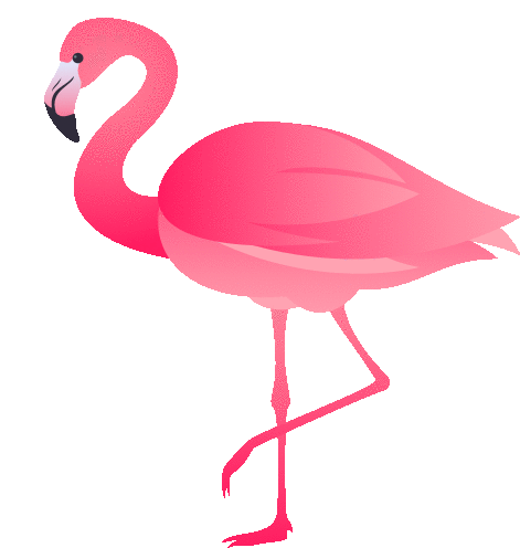Flamingo Nature Sticker - Flamingo Nature Joypixels - Discover & Share GIFs