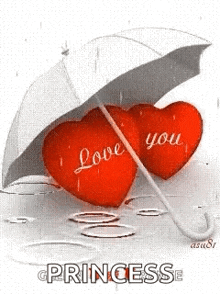 two red hearts under an umbrella in the rain with the words `` love you '' written on them .