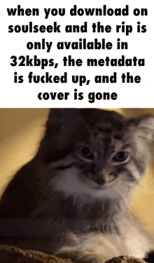 a cat with the words when you download on soulseek and the rip is available in 32kbps