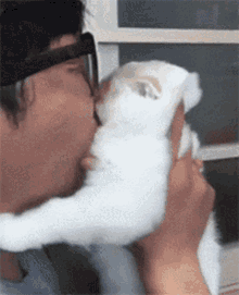 Cat Pout GIF - Cat Pout Kiss GIFs