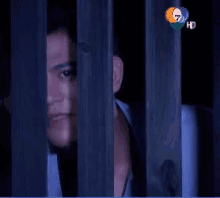 a person behind a fence with a 7 hd logo on the top