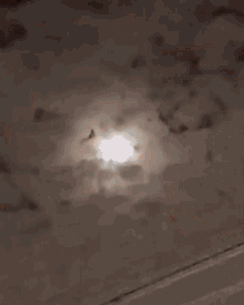 a young woman with long hair and bangs is standing in front of a brick wall and looking at the camera .