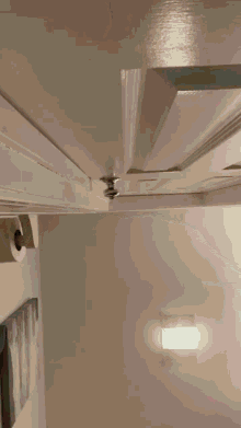 Cat Door GIF - Cat Door Surprise GIFs