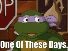 a picture of a teenage mutant ninja turtle with the words one of these days below it