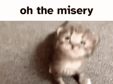 Oh The Misery GIF - Oh The Misery GIFs