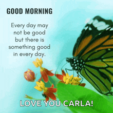 a butterfly is sitting on a green leaf with a quote that says " good morning love you carla "