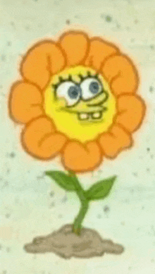 a drawing of a flower with a spongebob face on it .