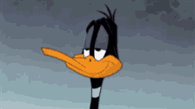 Looney Tunes Daffy GIF - Looney Tunes Daffy Wat GIFs
