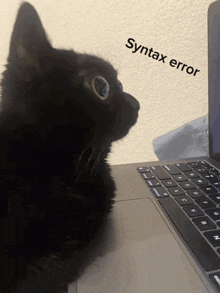 a black cat is looking at a laptop with the words syntax error written on the screen