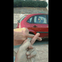 middle finger dito medio canecchia