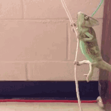 Chameleon Swing GIF - Chameleon Swing Gymnastics GIFs