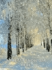 Snowday Beautiful GIF - Snowday Beautiful Winter GIFs