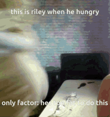 This Is Riley When He Hungry He Too Fat To Do This GIF - This Is Riley When He Hungry He Too Fat To Do This Hungry GIFs