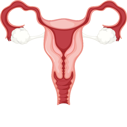 Endometriose Strong Sticker