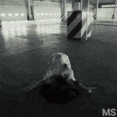 a black and white photo of a woman laying on the ground with the letters ms below her