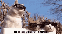 vitamin d getting some vitamin d sun bathing