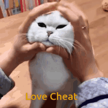 Love Cheat Love_cheat_cat GIF - Love Cheat Love_cheat_cat Lovecheatgifbangla GIFs