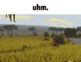 a picture of a field with uhm written on the bottom