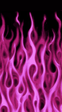 Hot Pink GIFs | Tenor