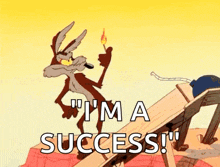 Wile Coyote GIF - Wile Coyote GIFs