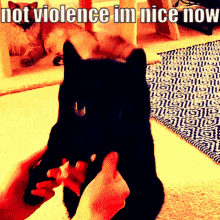 Cat Violence GIF - Cat Violence Violencia GIFs