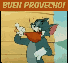 buen provecho comer tom and jerry fried chicken eating