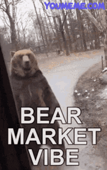 Bear Market Vibe Crypto GIF