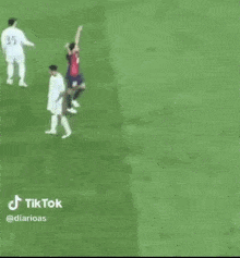 a group of soccer players are playing on a field .