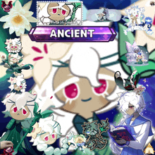 a collage of images of a white lily cookie with the words ancient below her