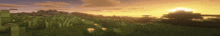 the sun is setting over a field of grass and trees .