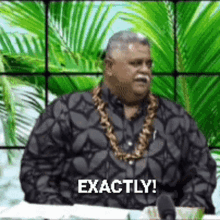 Exactly Laauli GIF - Exactly Laauli Samoa GIFs