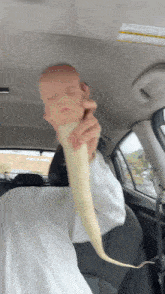 a person holding a snake in a car with a warning label on the ceiling