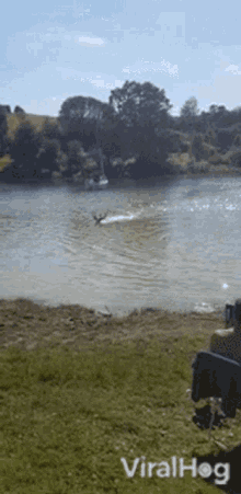 at the lake viralhog deer swimming coming to shore