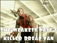 Daves Killer GIF - Daves Killer Bread GIFs