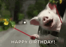 Pig Happy Birthday GIF - Pig Happy Birthday Car GIFs