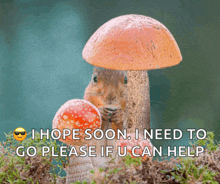a squirrel sitting under a mushroom with the words i hope soon i need to go please if u can help below
