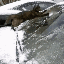 Slipping On Ice Driving In Snow GIF