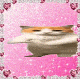 a cat is standing in front of a pink background with hearts .