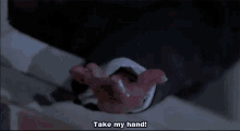 Take My Hand Silly GIF - Take My Hand Silly Small GIFs