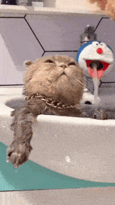 Cat Bath GIF - Cat Bath Cute GIFs