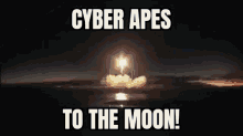 Cyber Apes Cayc GIF - Cyber Apes Cayc GIFs