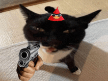 a black cat with a red angry bird hat on its head