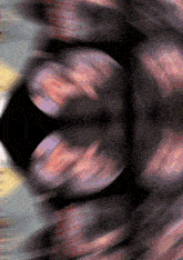 a blurred image of a person 's face with a black circle in the center